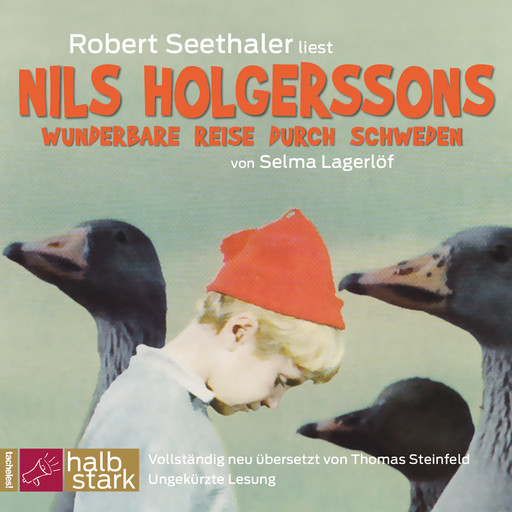 Nils Holgerssons wunderbare Reise durch Schweden (Ungekürzt), Selma Lagerlöf