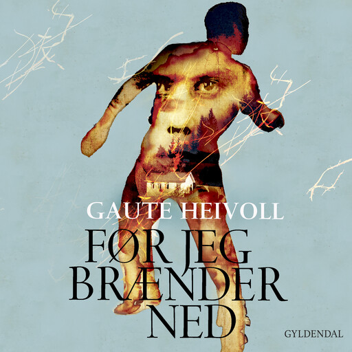 Før jeg brænder ned, Gaute Heivoll