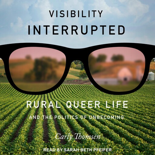Visibility Interrupted, Carly Thomsen