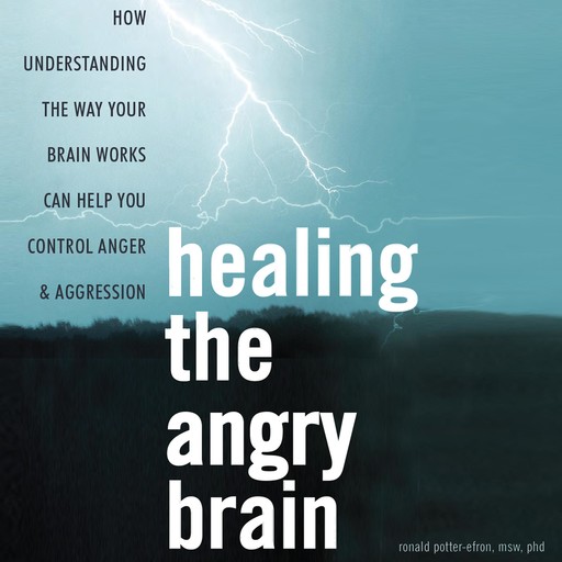 Healing the Angry Brain, Ronald Potter-Efron