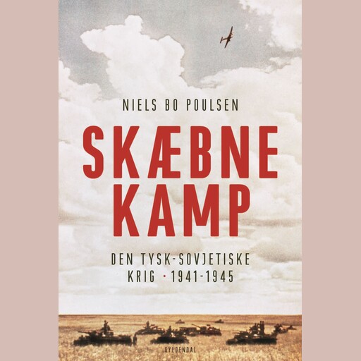 Skæbnekamp, Niels Bo Poulsen