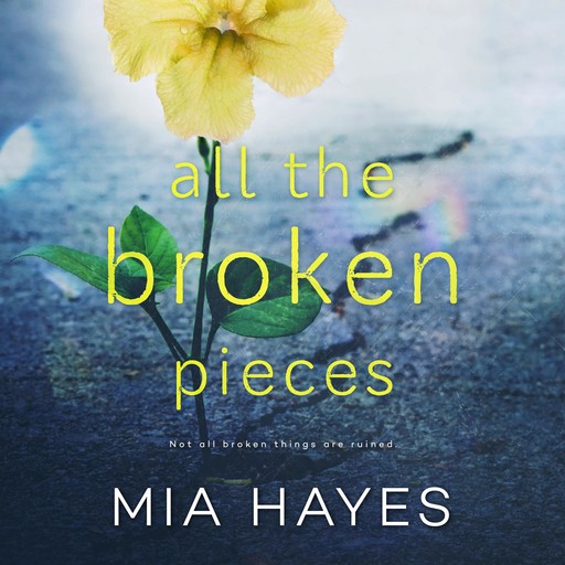ALL THE BROKEN PIECES, Mia Hayes