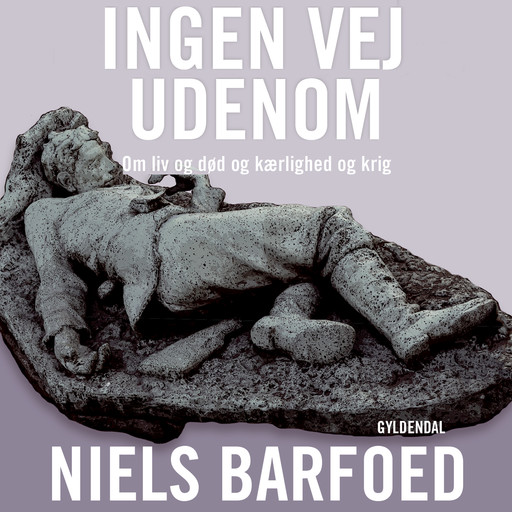 Ingen vej udenom, Niels Barfoed
