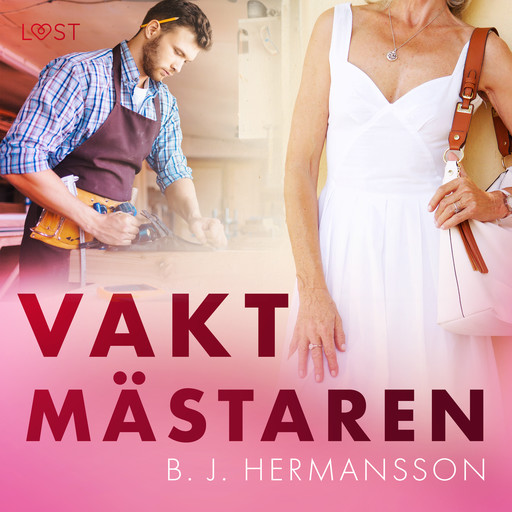 Vaktmästaren - erotisk novell, B.J. Hermansson