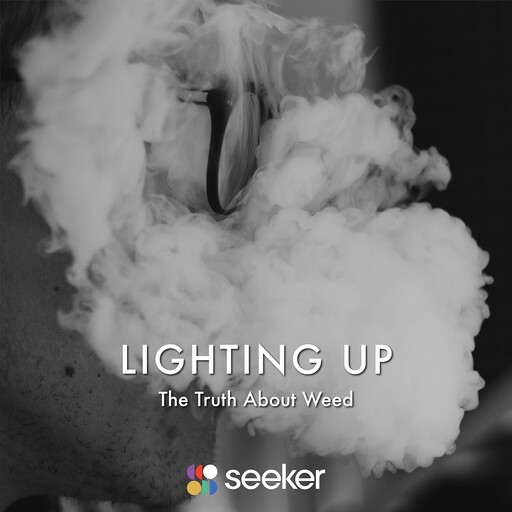 Lighting Up, Seeker