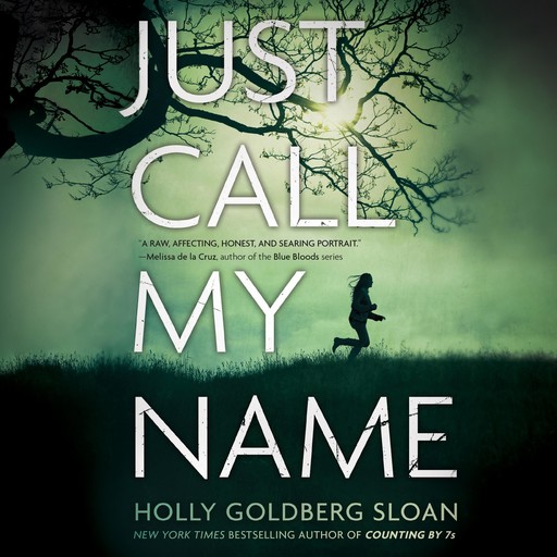 Just Call My Name, Holly Goldberg Sloan