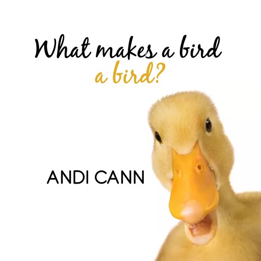 What Makes a Bird a Bird?, Andi Cann