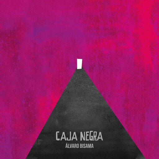 Caja negra, Álvaro Bizama
