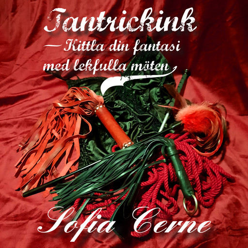 Tantrickink - Kittla din fantasi med lekfulla möten, Sofia Cerne