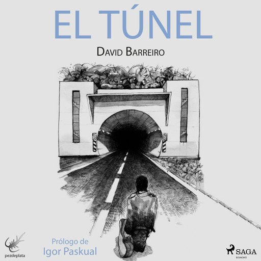 El túnel, David Barreiro