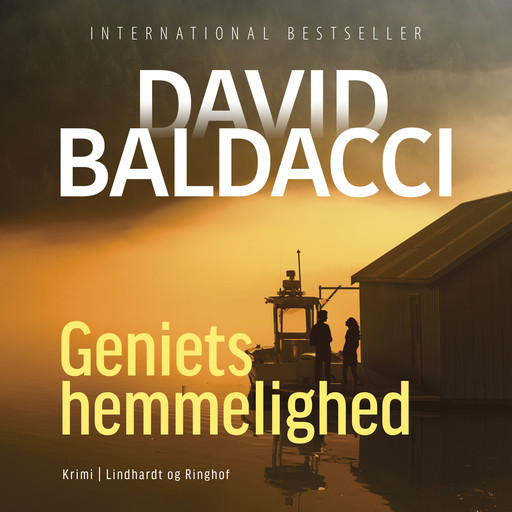 Geniets hemmelighed, David Baldacci