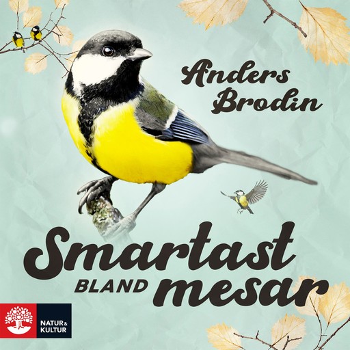 Smartast bland mesar, Anders Brodin