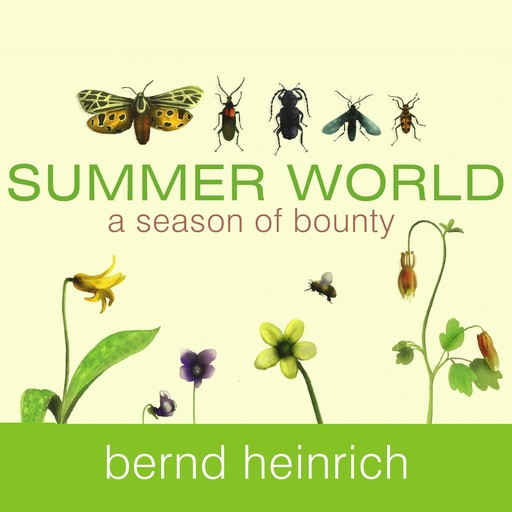 Summer World, Bernd Heinrich