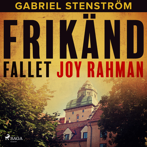 Frikänd : fallet Joy Rahman, Gabriel Stenström