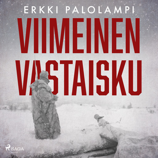 Viimeinen vastaisku, Erkki Palolampi