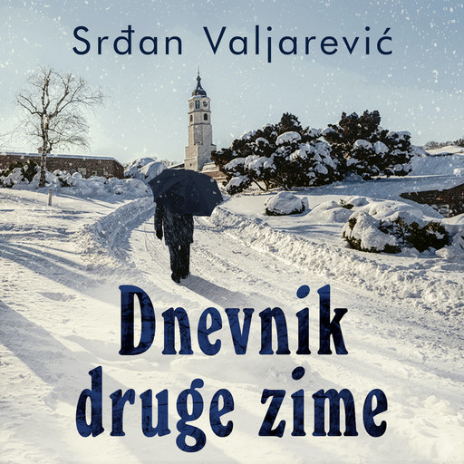 Dnevnik druge zime, Srdjan Valjarevic