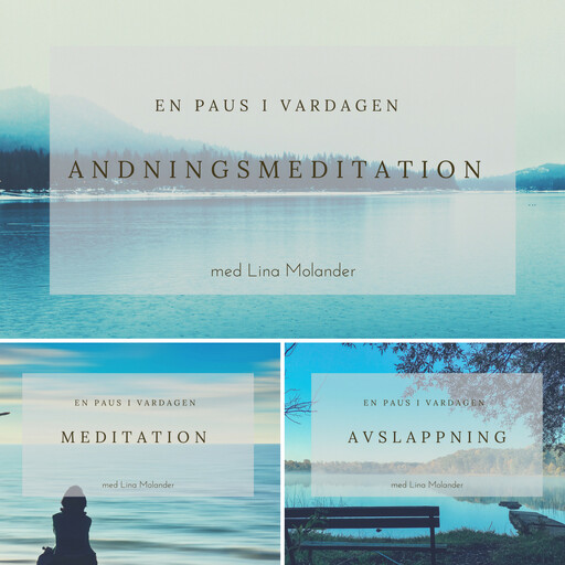 En paus i vardagen, Lina Molander