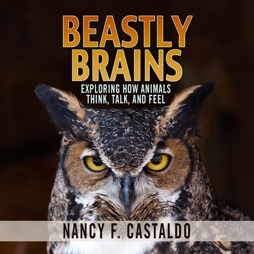 Beastly Brains, Nancy F. Castaldo