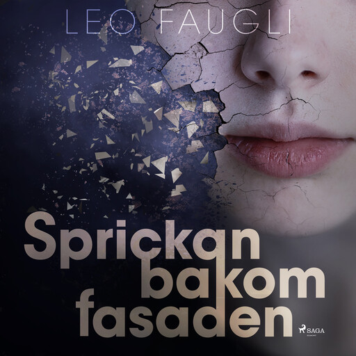Sprickan bakom fasaden, Leo Faugli