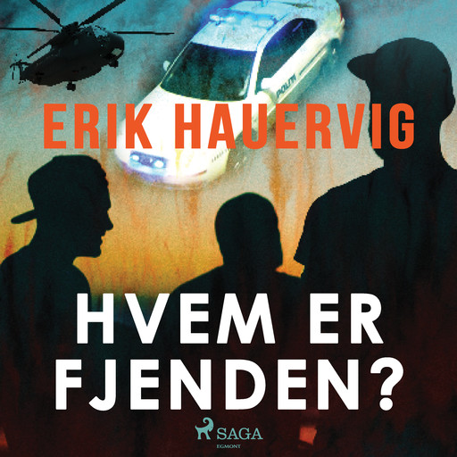Hvem er fjenden?, Erik Hauervig