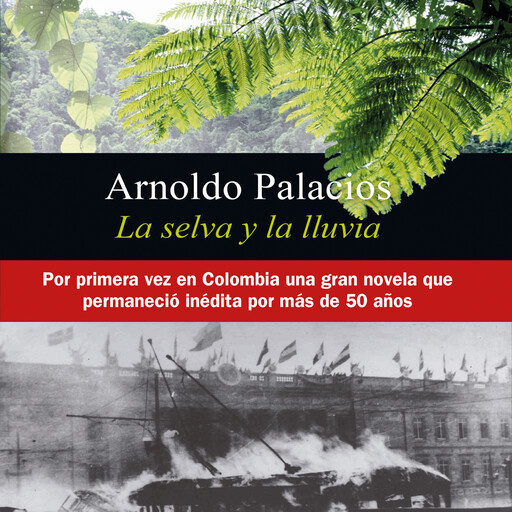 La selva y la lluvia, Arnoldo Palacios