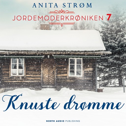 Knuste drømme, Anita Strøm
