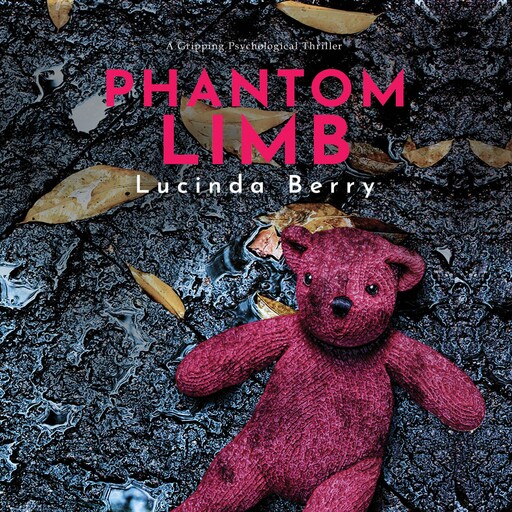 Phantom Limb, Lucinda Berry