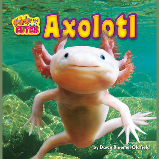 Axolotl, Dawn Bluemel Oldfield