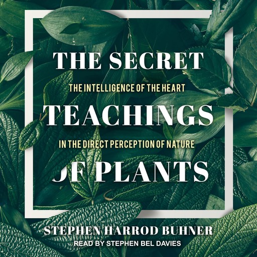 The Secret Teachings of Plants, Stephen Harrod Buhner