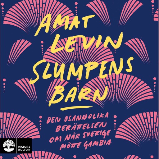 Slumpens barn : den osannolika berättelsen om när Sverige mötte Gambia, Amat Levin