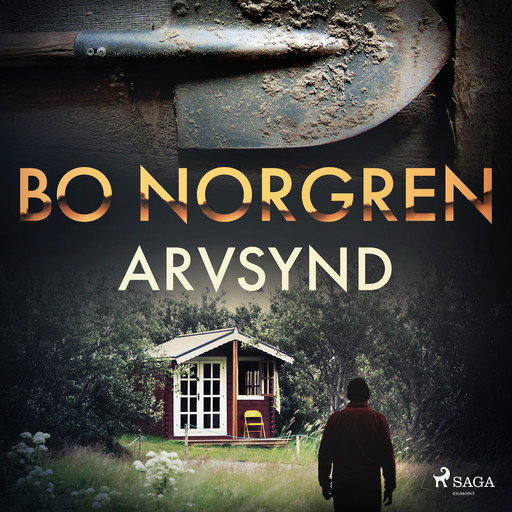 Arvsynd, Bo Norgren