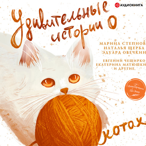 Удивительные истории о котах, Катя Матюшкина