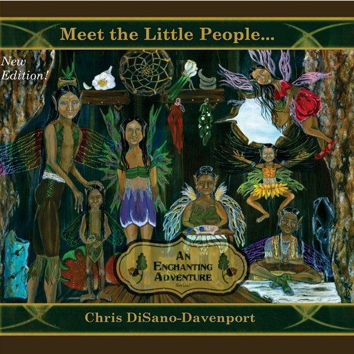 Meet the Little People...An Enchanting Adventure, Chris DiSano Davenport