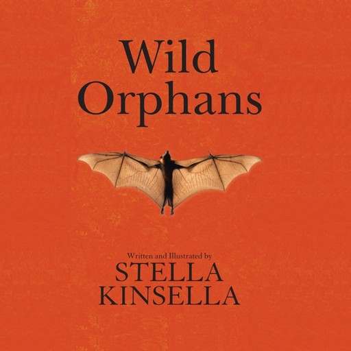 Wild Orphans, Stella Kinsella