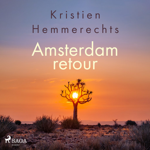 Amsterdam retour, Kristien Hemmerechts