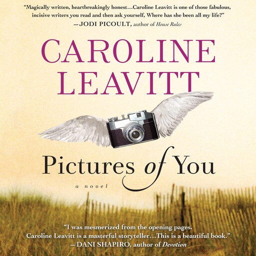 Pictures of You, Caroline Leavitt