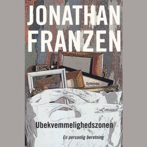 Ubekvemmelighedszonen, Jonathan Franzen