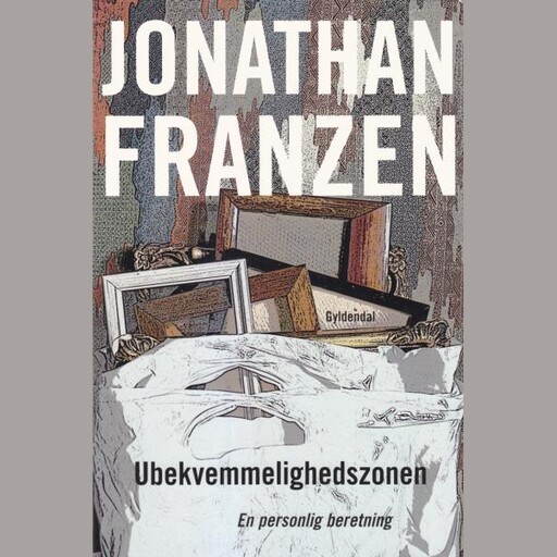 Ubekvemmelighedszonen, Jonathan Franzen