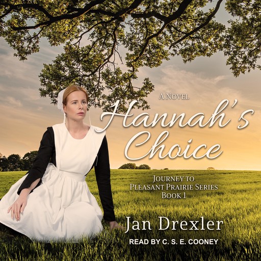 Hannah's Choice, Jan Drexler