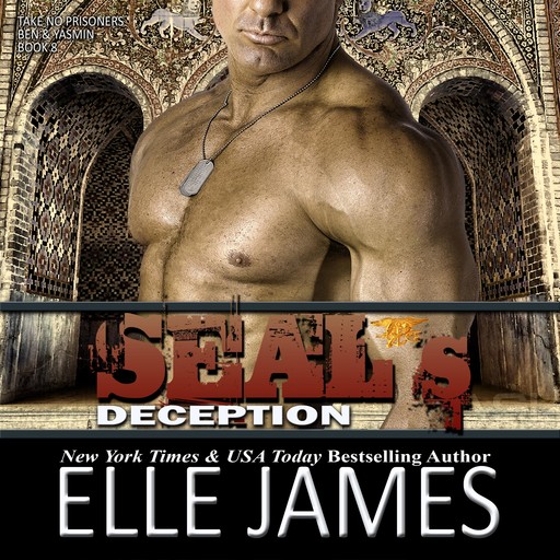 SEAL's Deception, Elle James