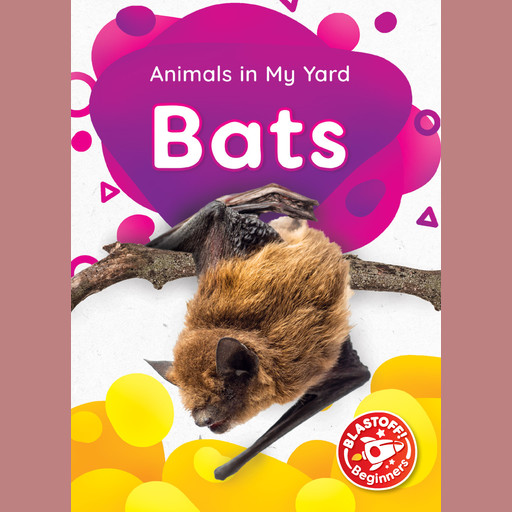 Bats, Amy McDonald