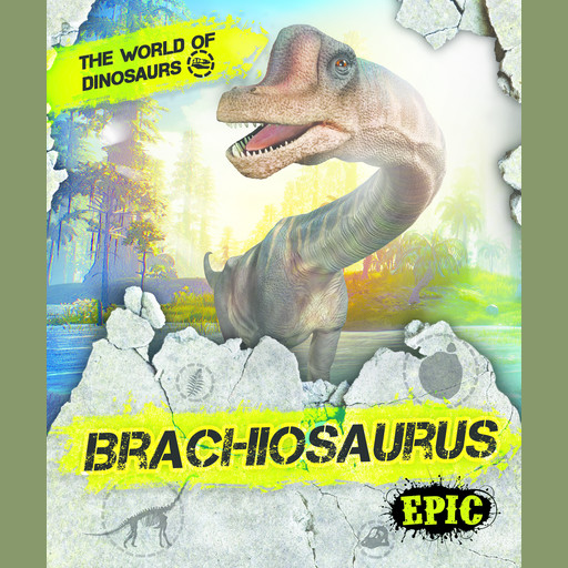 Brachiosaurus, Rebecca Sabelko