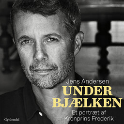 »Biografier« – en boghylde, Anders Viborg