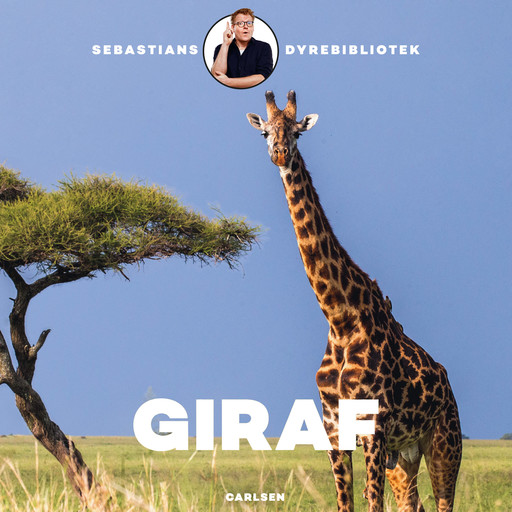 Sebastians dyrebibliotek - Giraf, Sebastian Klein