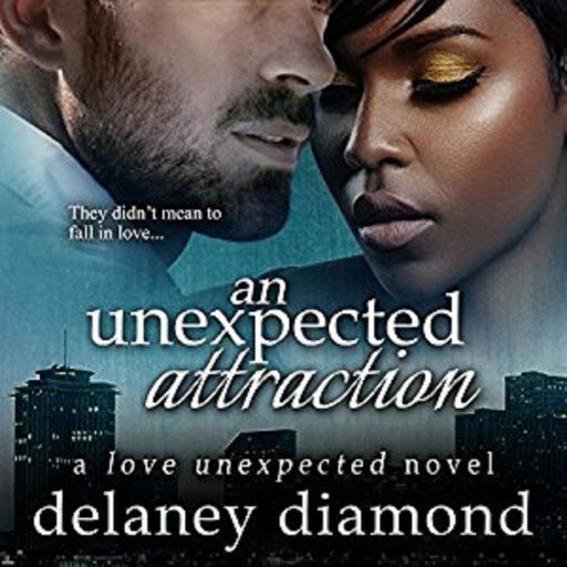An Unexpected Attraction, Delaney Diamond