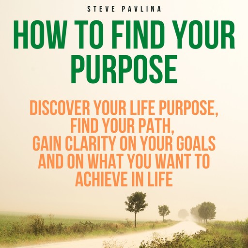 How to Find Your Purpose, Steve Pavlina