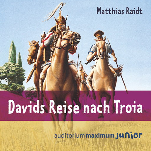 Davids Reise nach Troia, Matthias Raidt