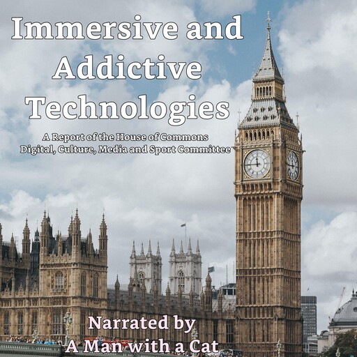 Immersive and Addictive Technologies, Man with a Cat