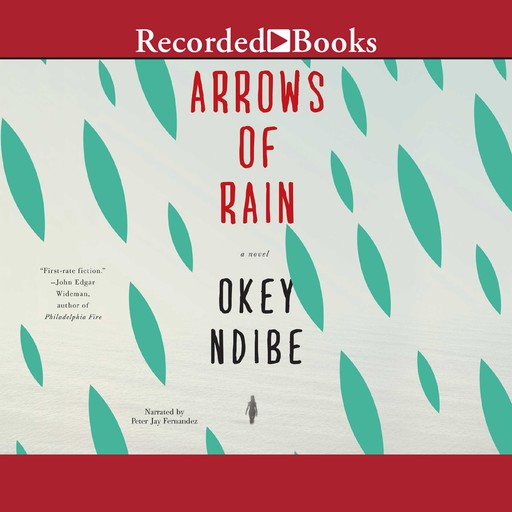 Arrows of Rain, Okey Ndibe