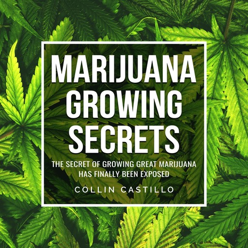 Marijuana Growing Secrets, Collin Castillo